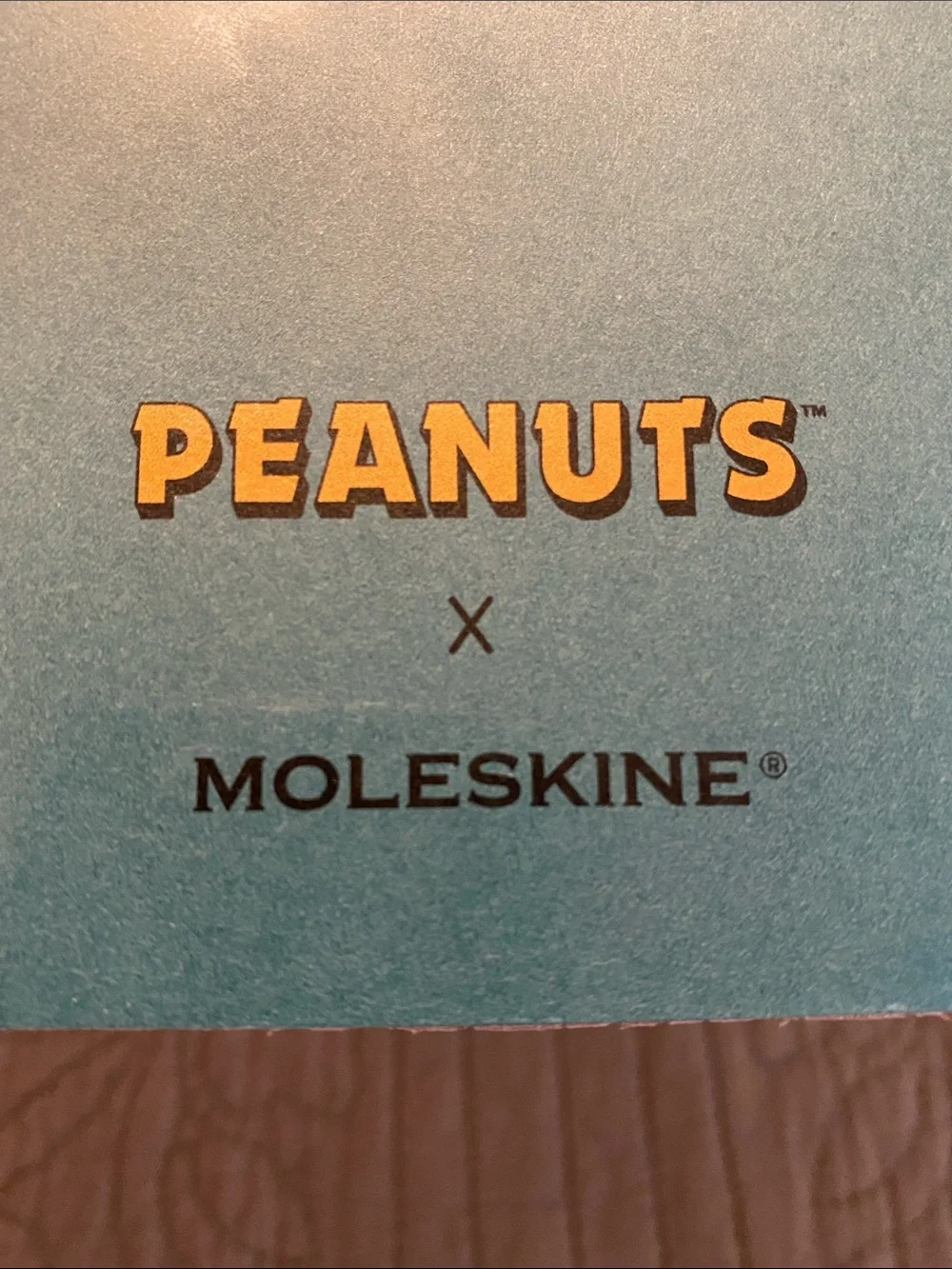 NWT Moleskine Teal Peanuts Linus journal